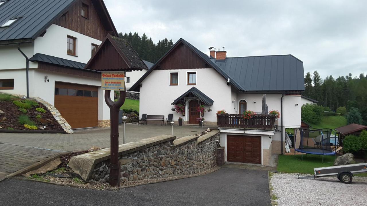 Apartmany - Privat Pacholik Rokytnice nad Jizerou Exterior photo